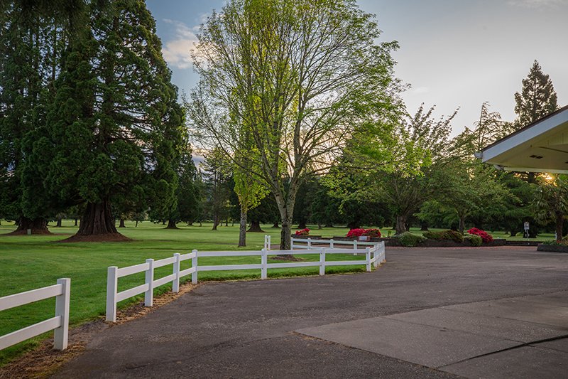 Trees and grounds outside the golf club building